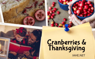Cranberries & Thanksgiving