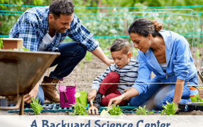 6 Ways to Make Your Backyard a Science Center