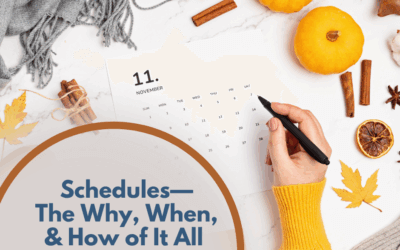 Schedules—The Why, When, & How of It All