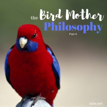bird mother philosophy ii
